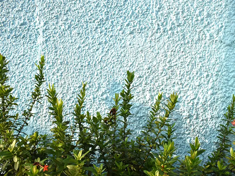 property maintenance glasgow